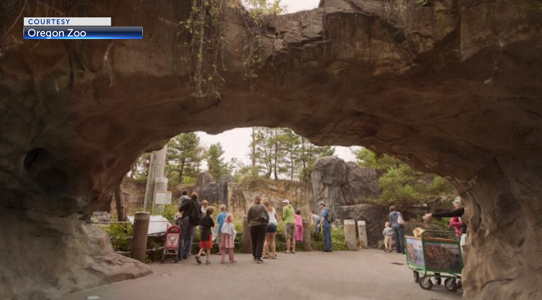 Which do you prefer: aquariums or zoos?