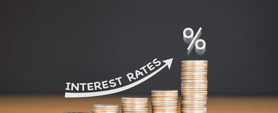 Do you think interest rates will go up this year?