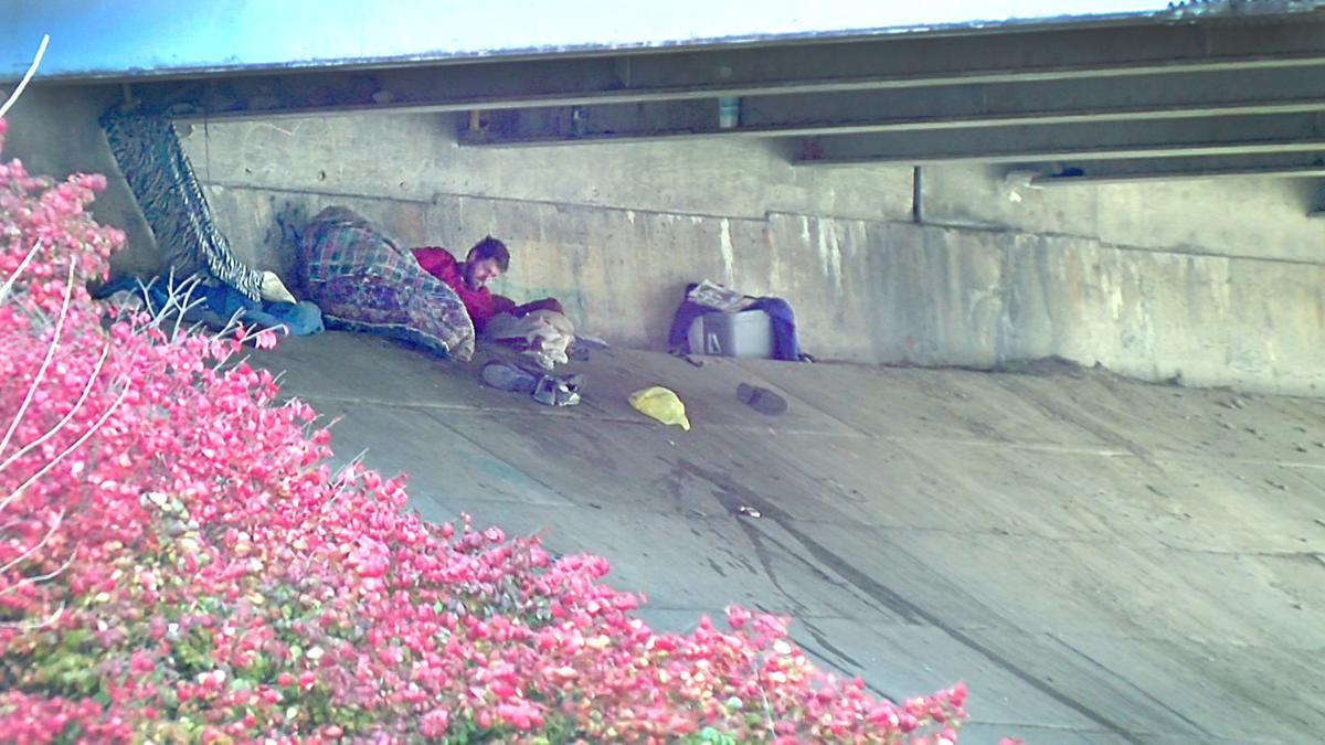 Do you agree with banning homeless encampments in public places?