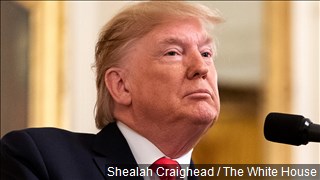 Do you think Trump should testify? 