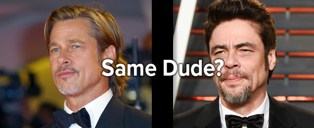 Are Brad Pitt and Benicio Del Toro really the same person?