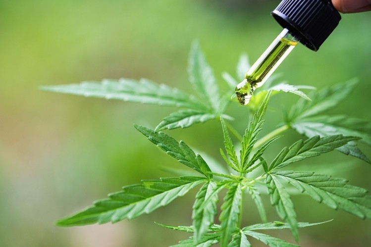 Do you agree with FDA CBD Warning?