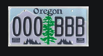 Do you have a special or custom license plate on your car?