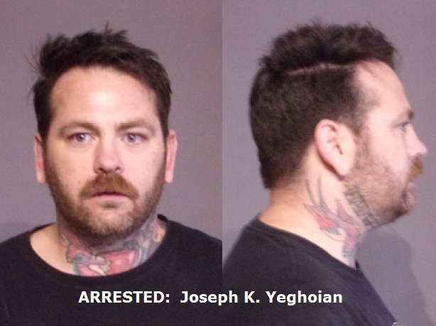 Should the tattoo shop be closed during the investigation?