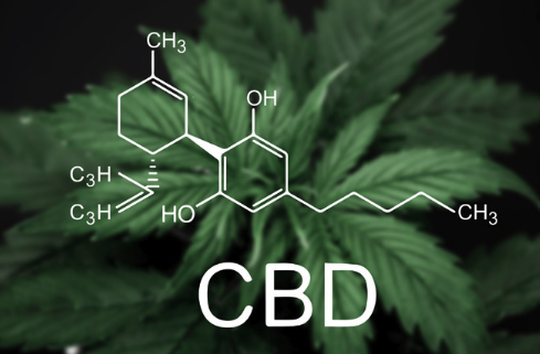 Do you think CBD should be banned from certain products?