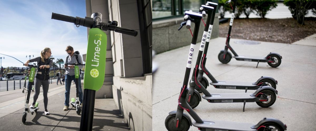 Who was the Better Scooter in 2019?