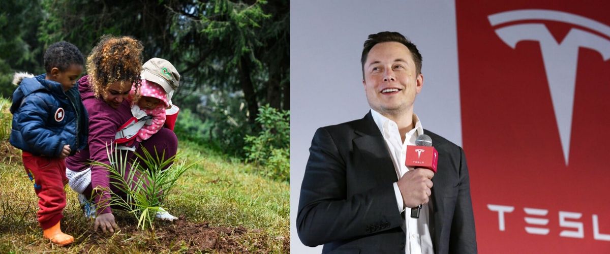 What 2019 effort to save the earth is better?
