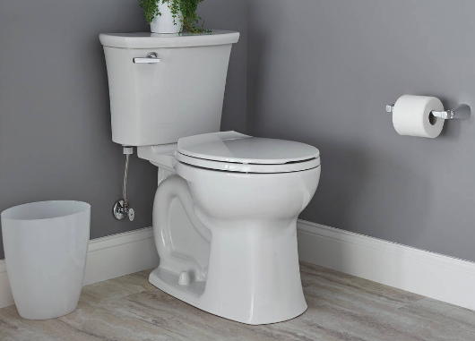 Have you ever flushed anything other than toilet paper?