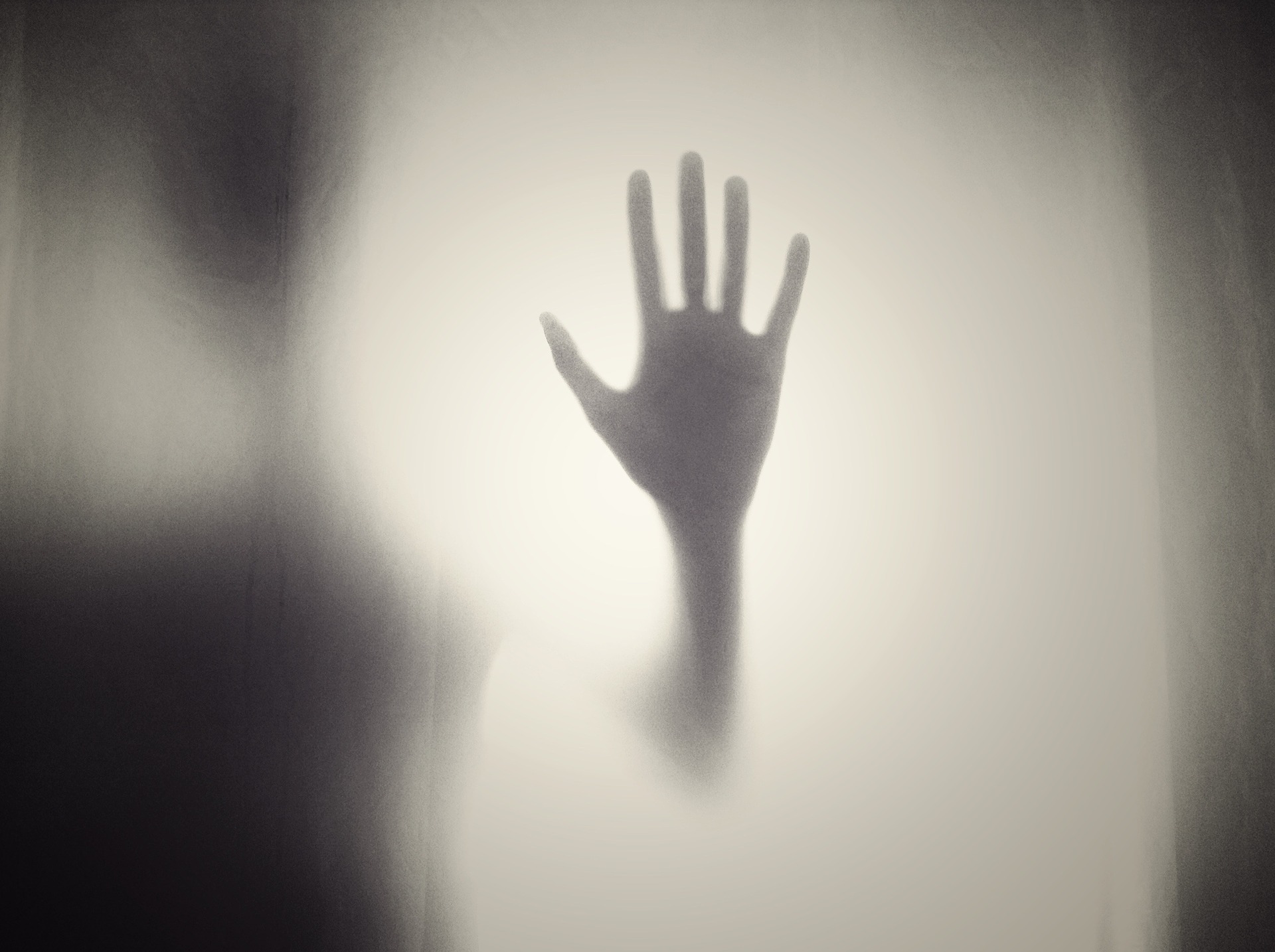 Which is the better horror movie?