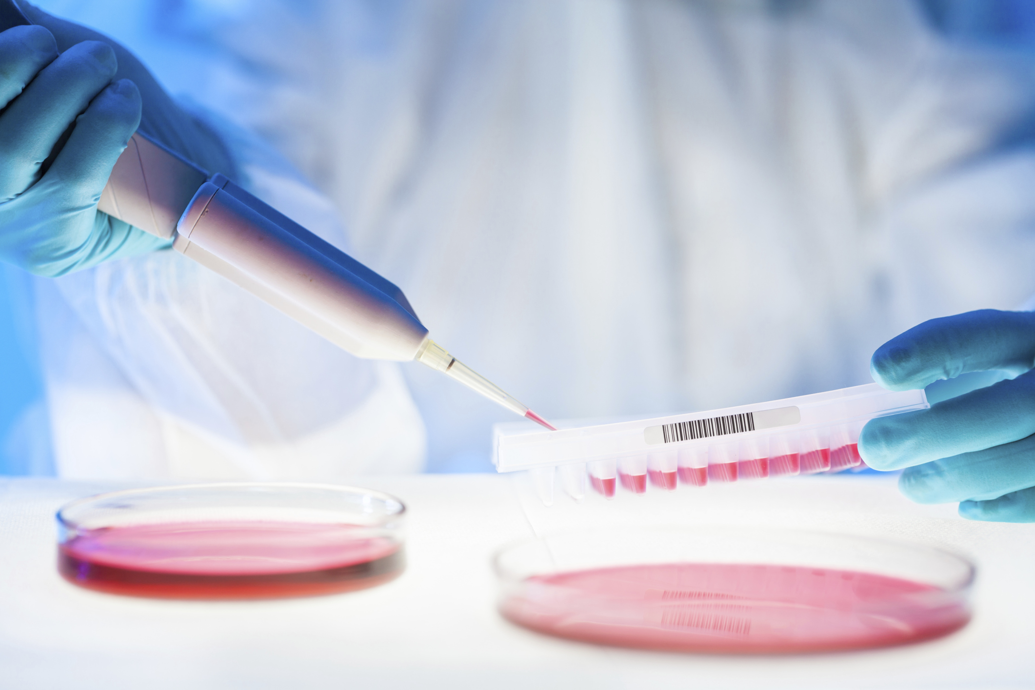 Could this new treatment be the cure for all cancers?