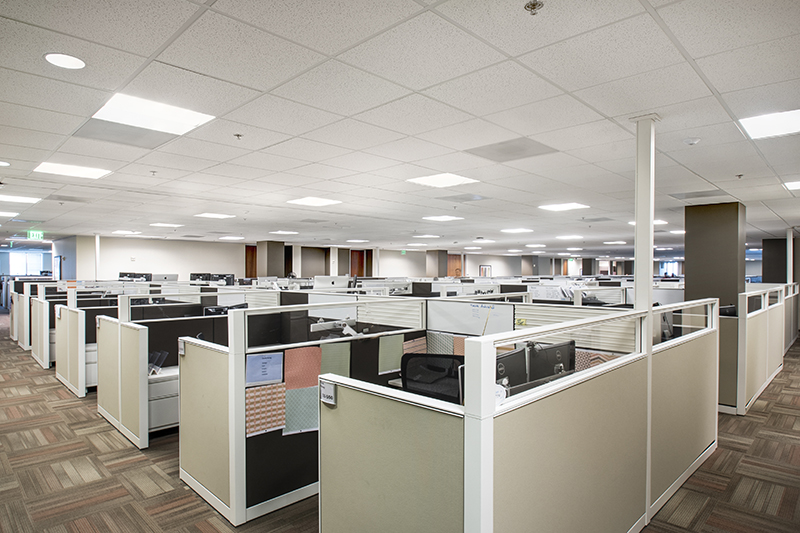 Would you rather work from Home or from an Office?
