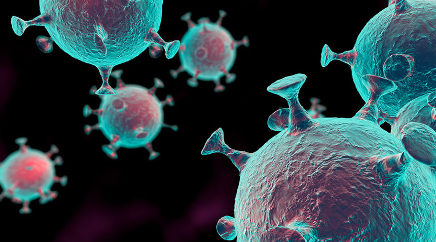 Which virus are you more concerned about?