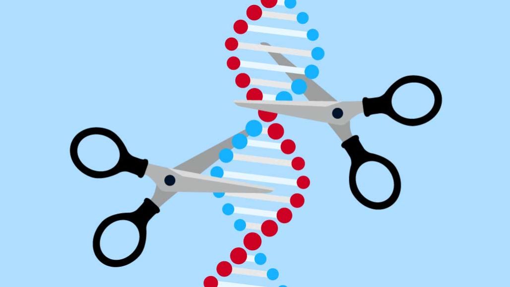 Where do you stand on CRISPR and DNA editing?