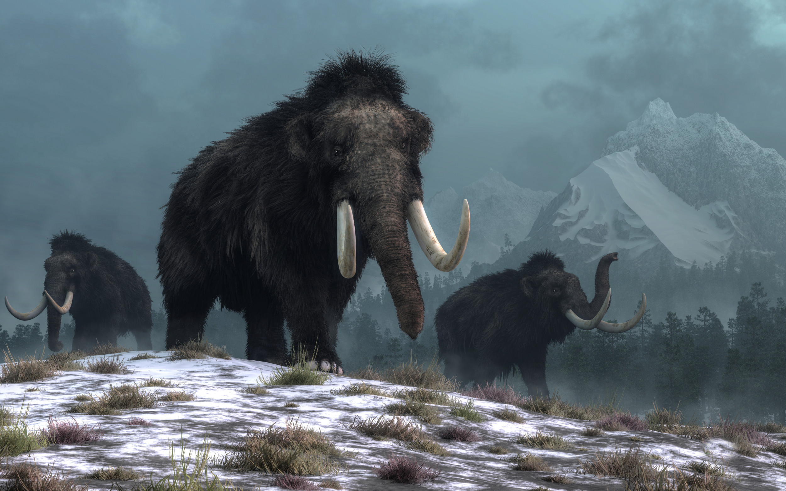 Should scientists revive the wooly mammoth?