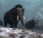 Should scientists revive the wooly mammoth?