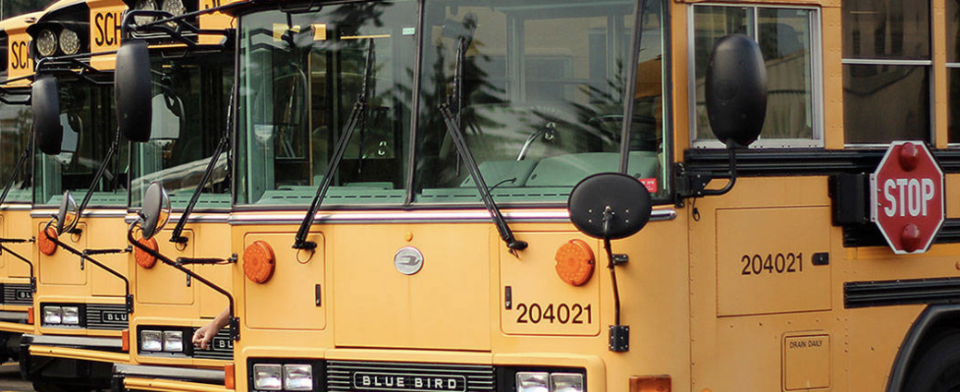 Do you think school buses should have seat belts?