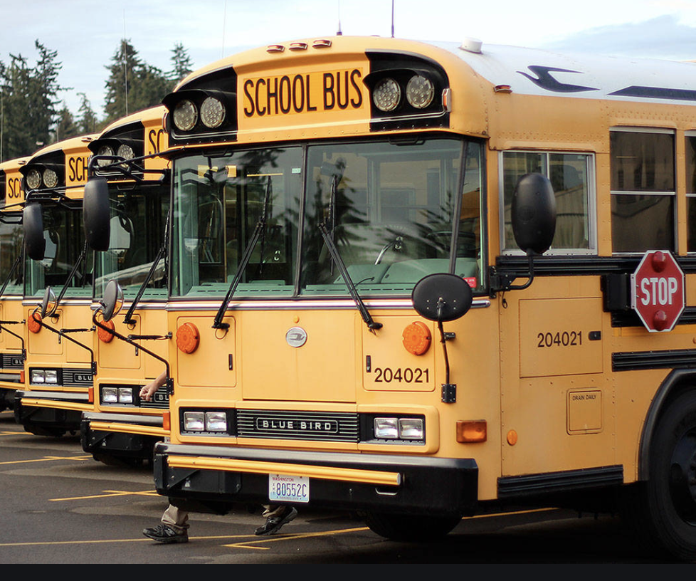 Do you think school buses should have seat belts?