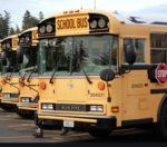 Do you think school buses should have seat belts?