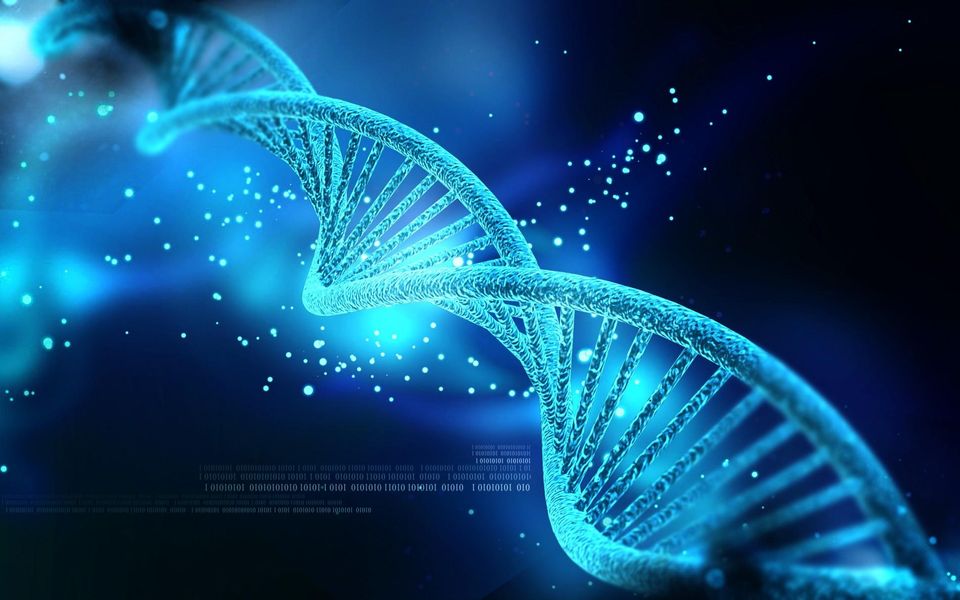 Should police be able to use partial DNA evidence for convictions