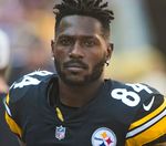 Should the Steelers bring Antonio Brown back?