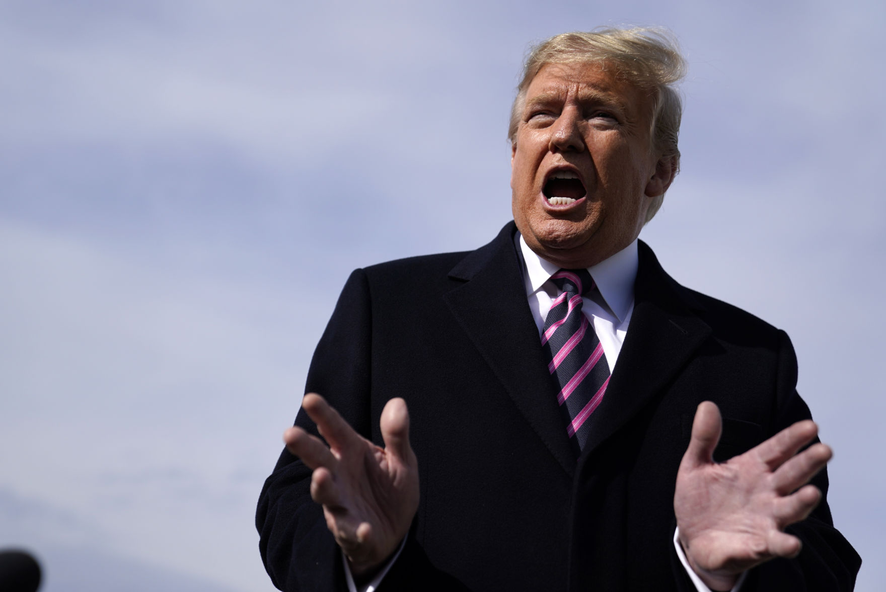 What did you think of President Trump's pardon spree?