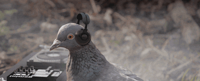 Thoughts on mini-pigeon hats?