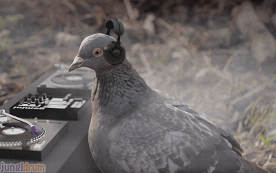 Thoughts on mini-pigeon hats?