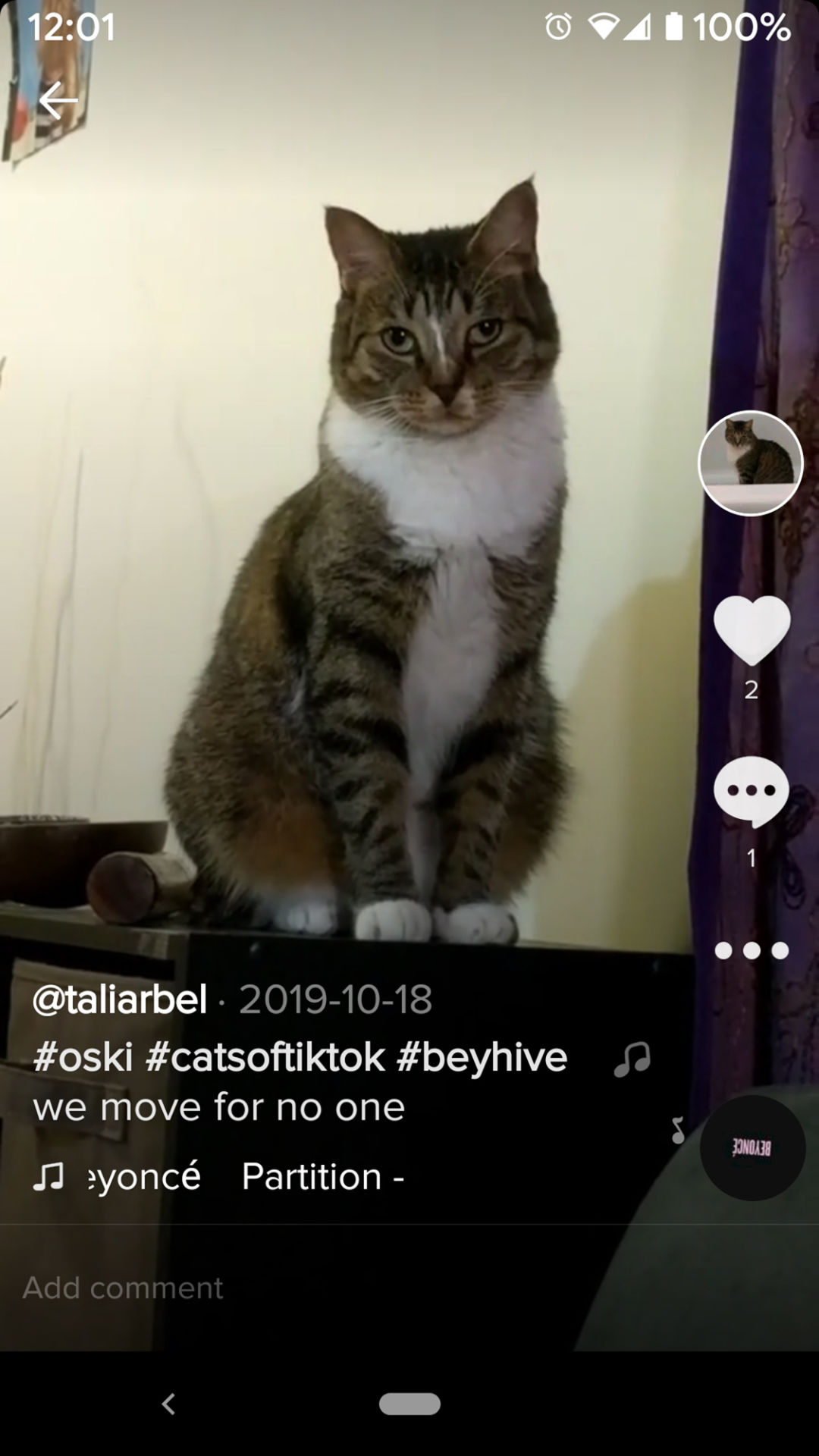 What's the best reason to ban TikTok on U.S. government devices?