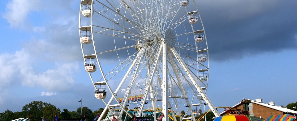 Would you have attended if the fair wasn't cancelled?