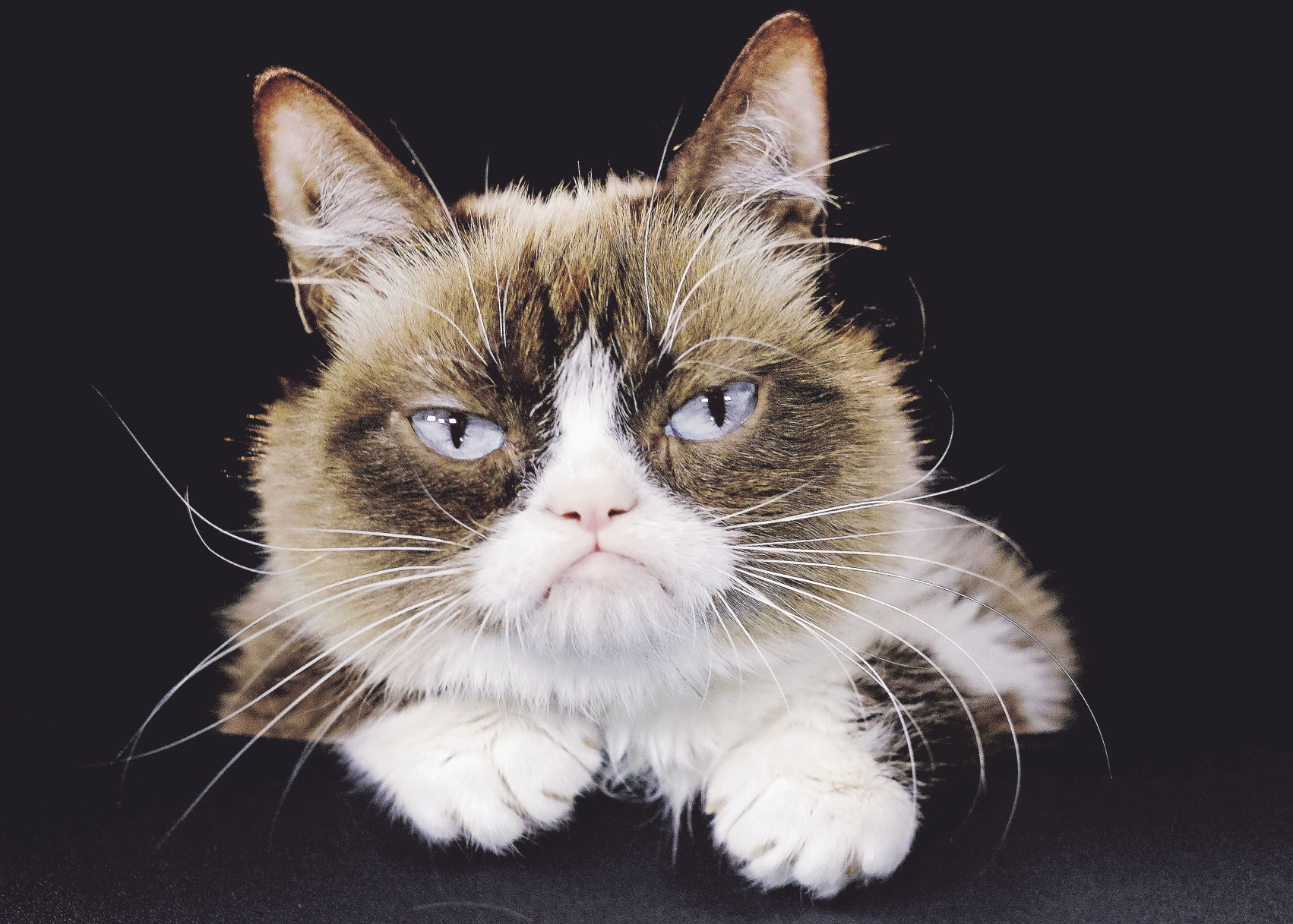 Is it cruel to declaw a cat?