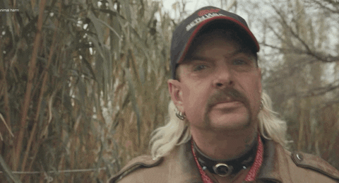 Joe Exotic for President 2020?