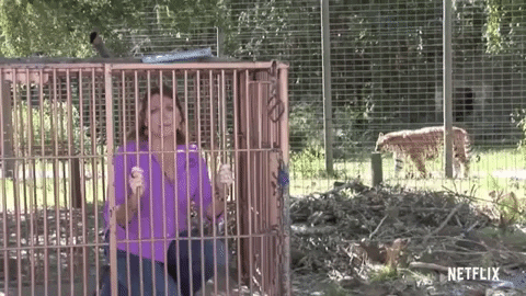 Have you seen a crazier cat lady than Carol?