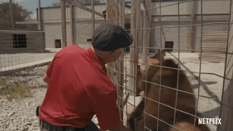 Were the animals the real victims?