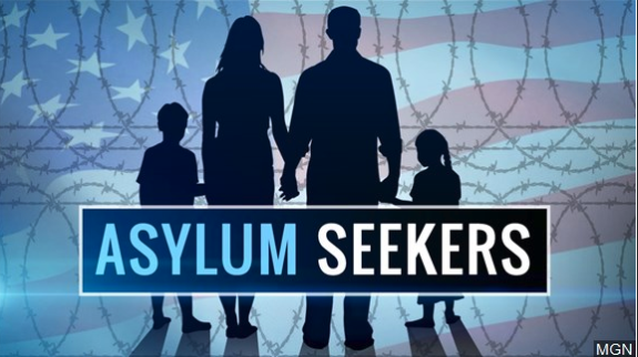 Should asylum cases be put on hold?