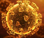 Should businesses inform the public if employees test positive?