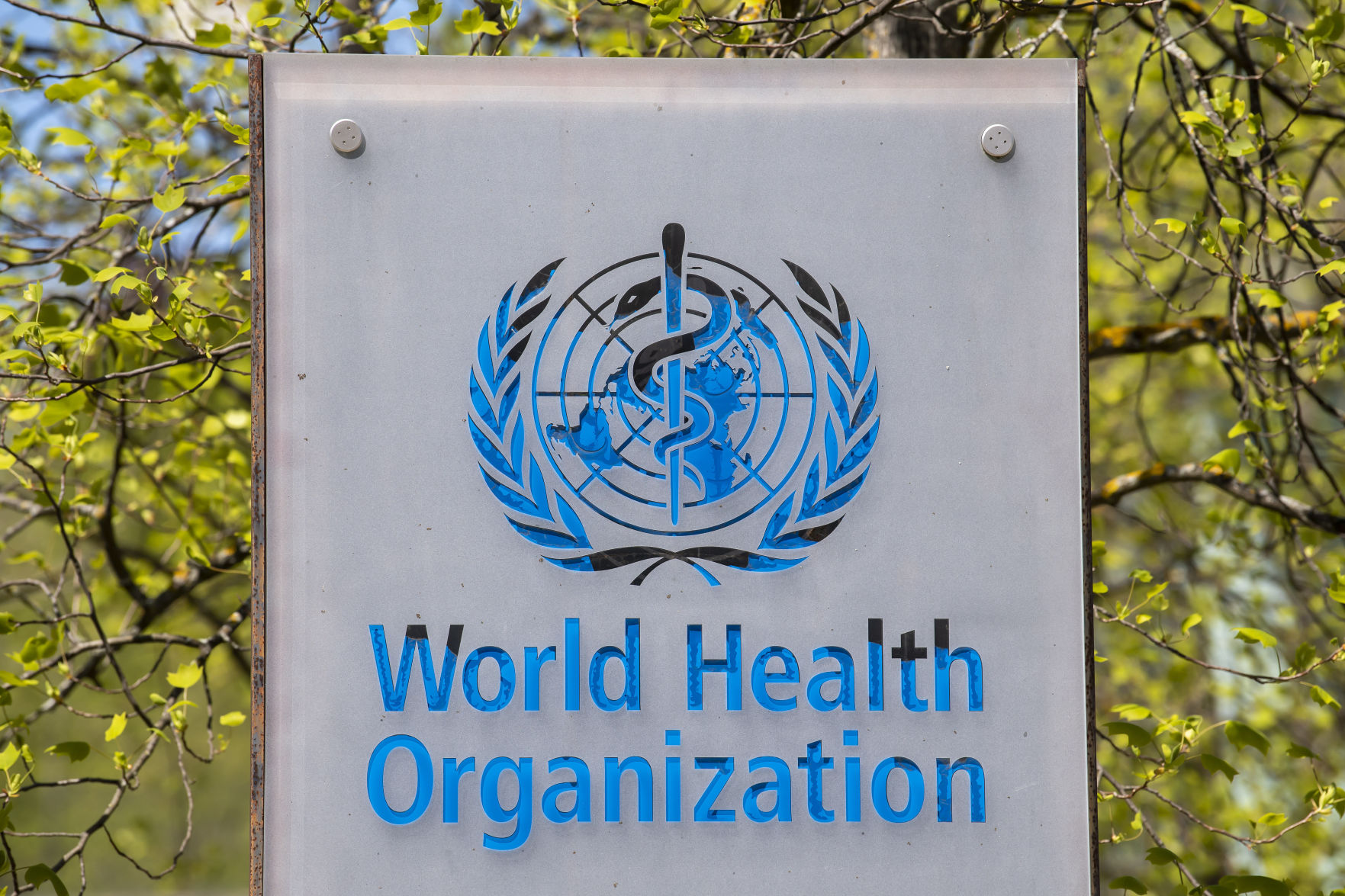 Should the U.S. halt funding for the World Health Organization?