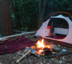 When campgrounds reopen, should reservations still be limited?