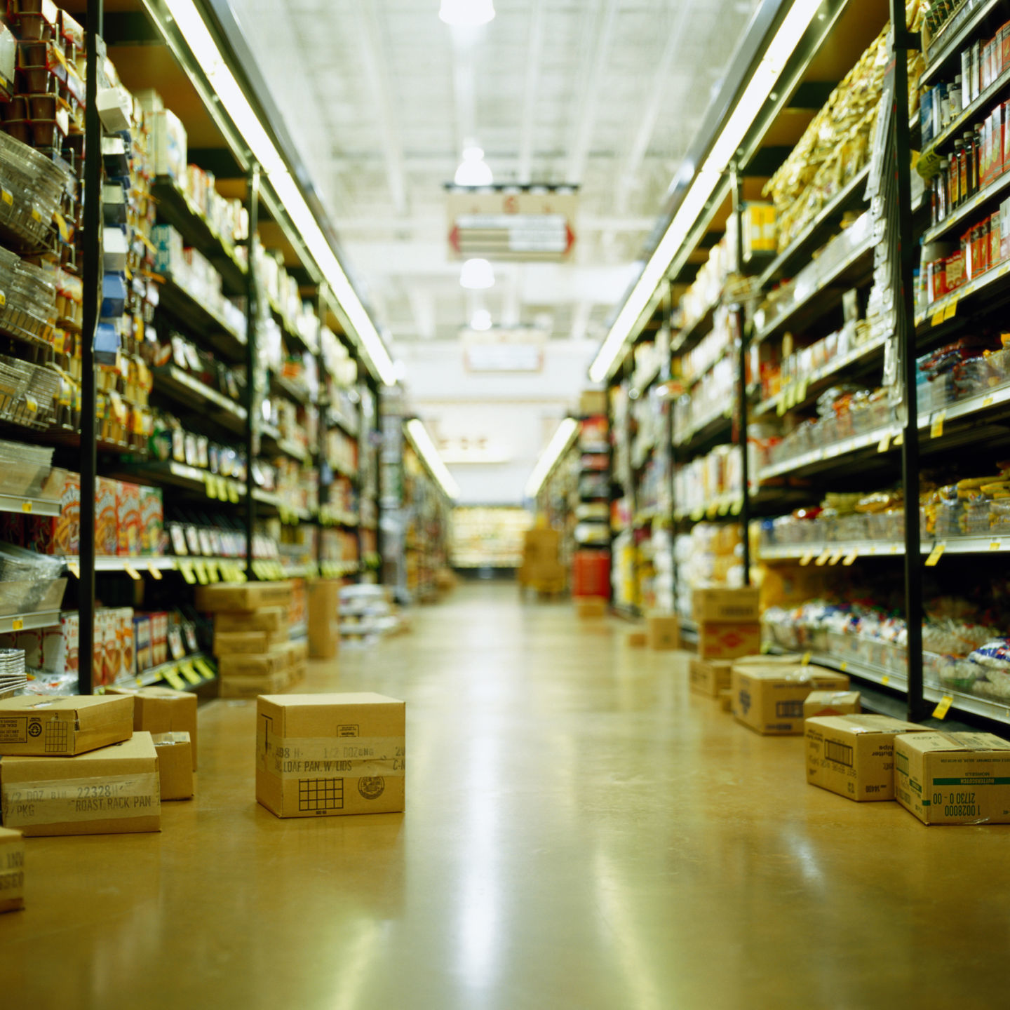 In a recession, should food stamp work rules be relaxed?