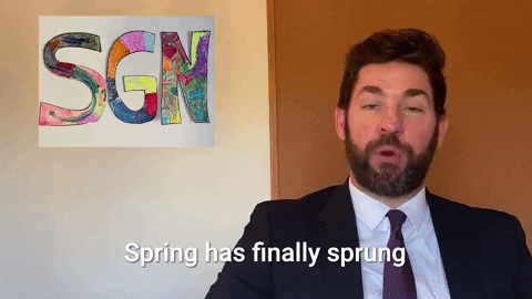 Have you been watching SGN with John Krasinski?