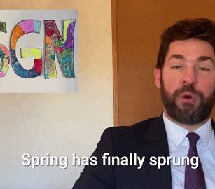 Have you been watching SGN with John Krasinski?