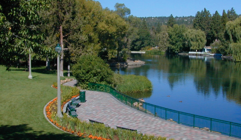 Should plans for a new path in Drake Park change to save trees?