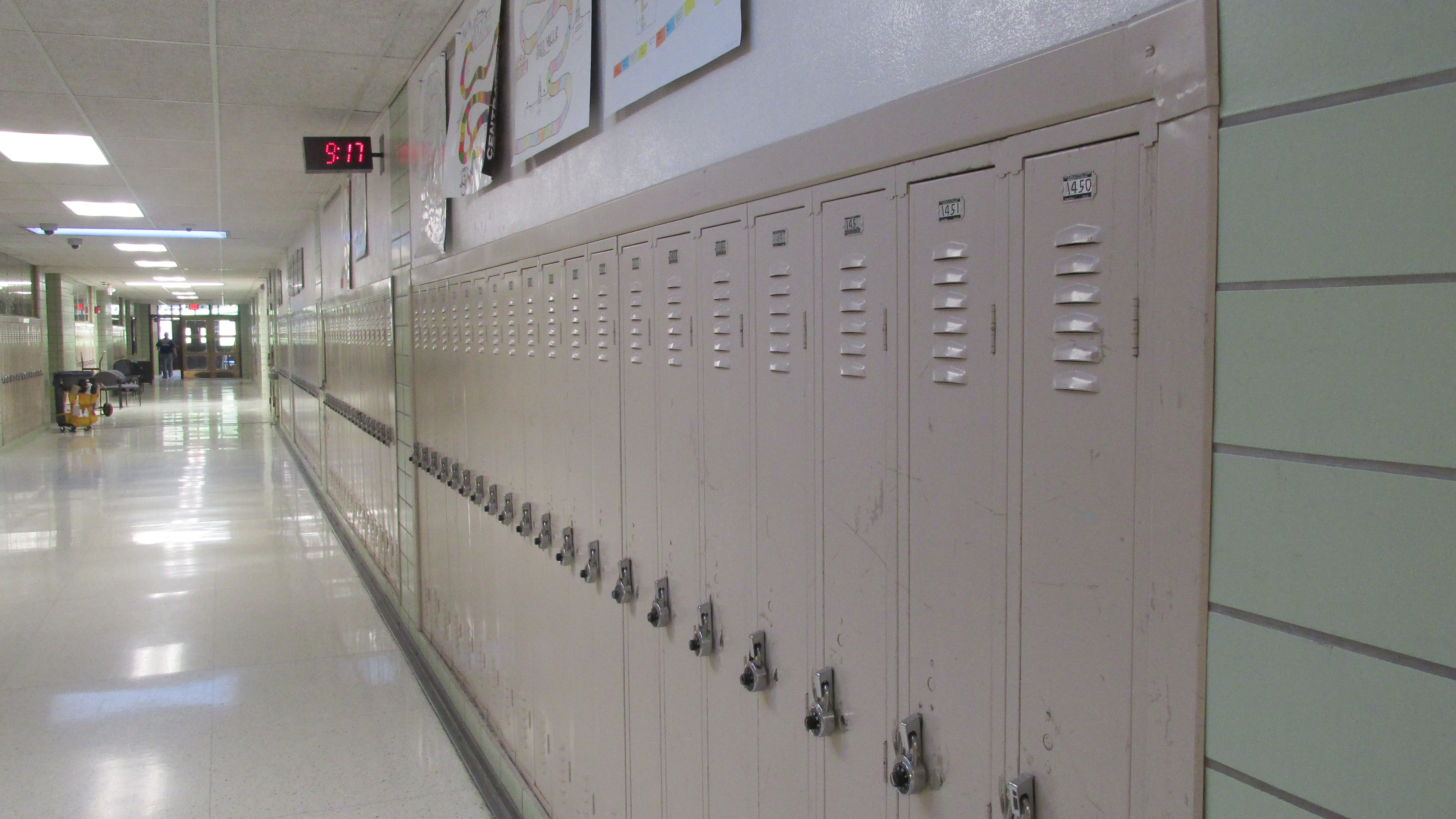 Should police be removed from schools?
