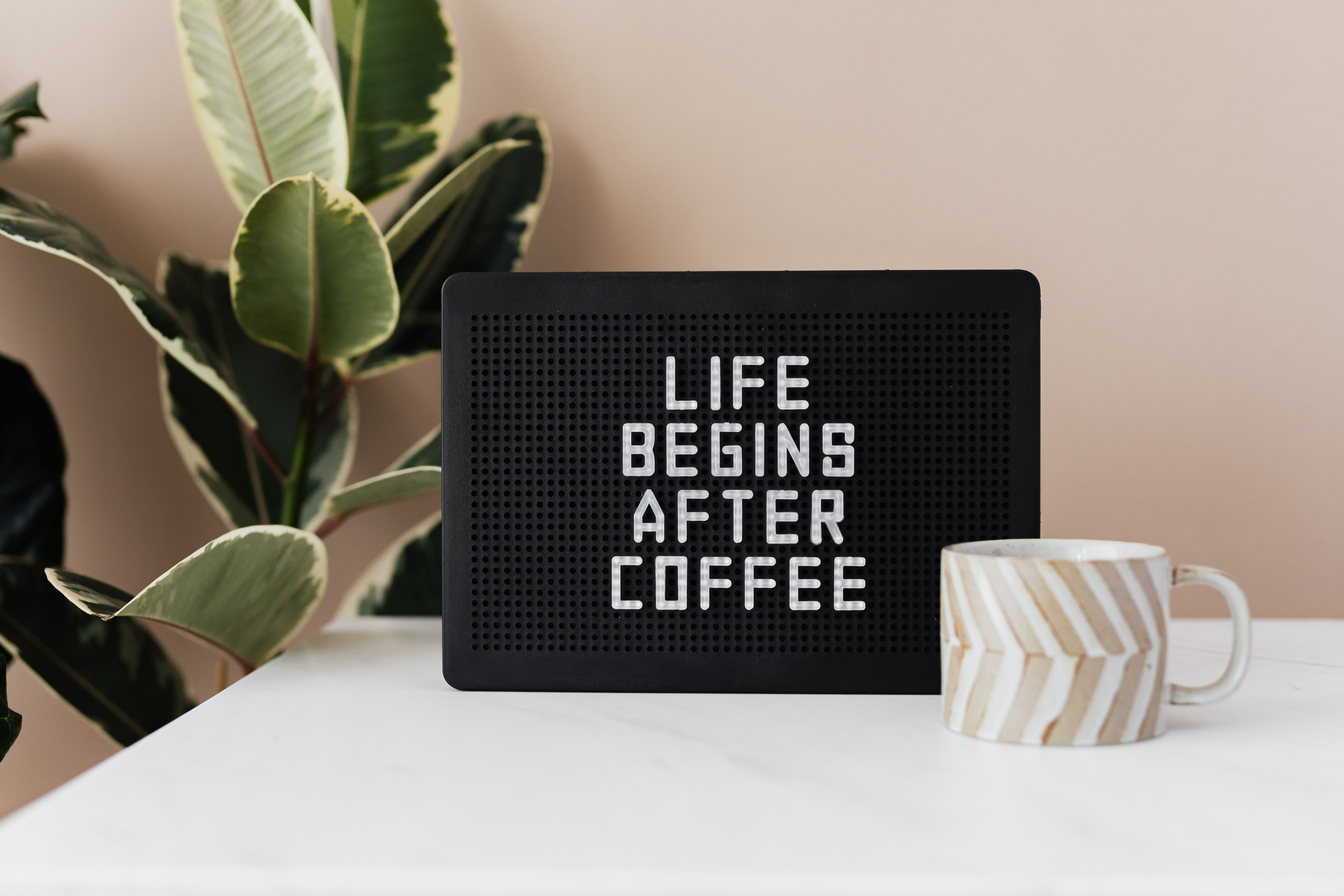 What is the first thing you do in the morning after waking up?