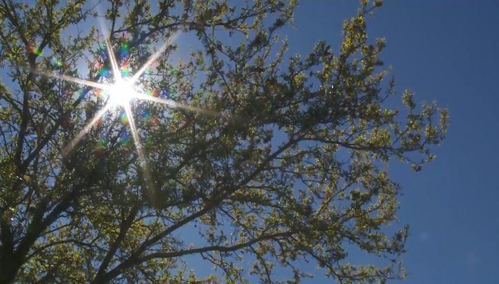 Do you regularly use sunscreen?