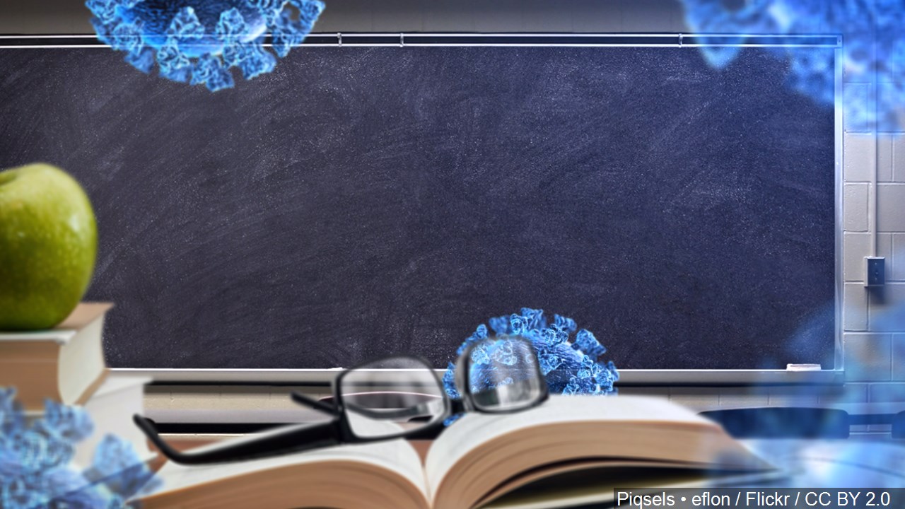 Should it be up to the districts to reopen schools? 