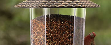 Do you have bird feeders at home?