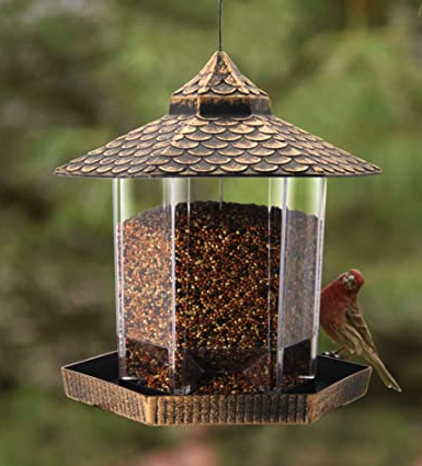 Do you have bird feeders at home?