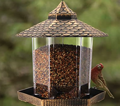 Do you have bird feeders at home?