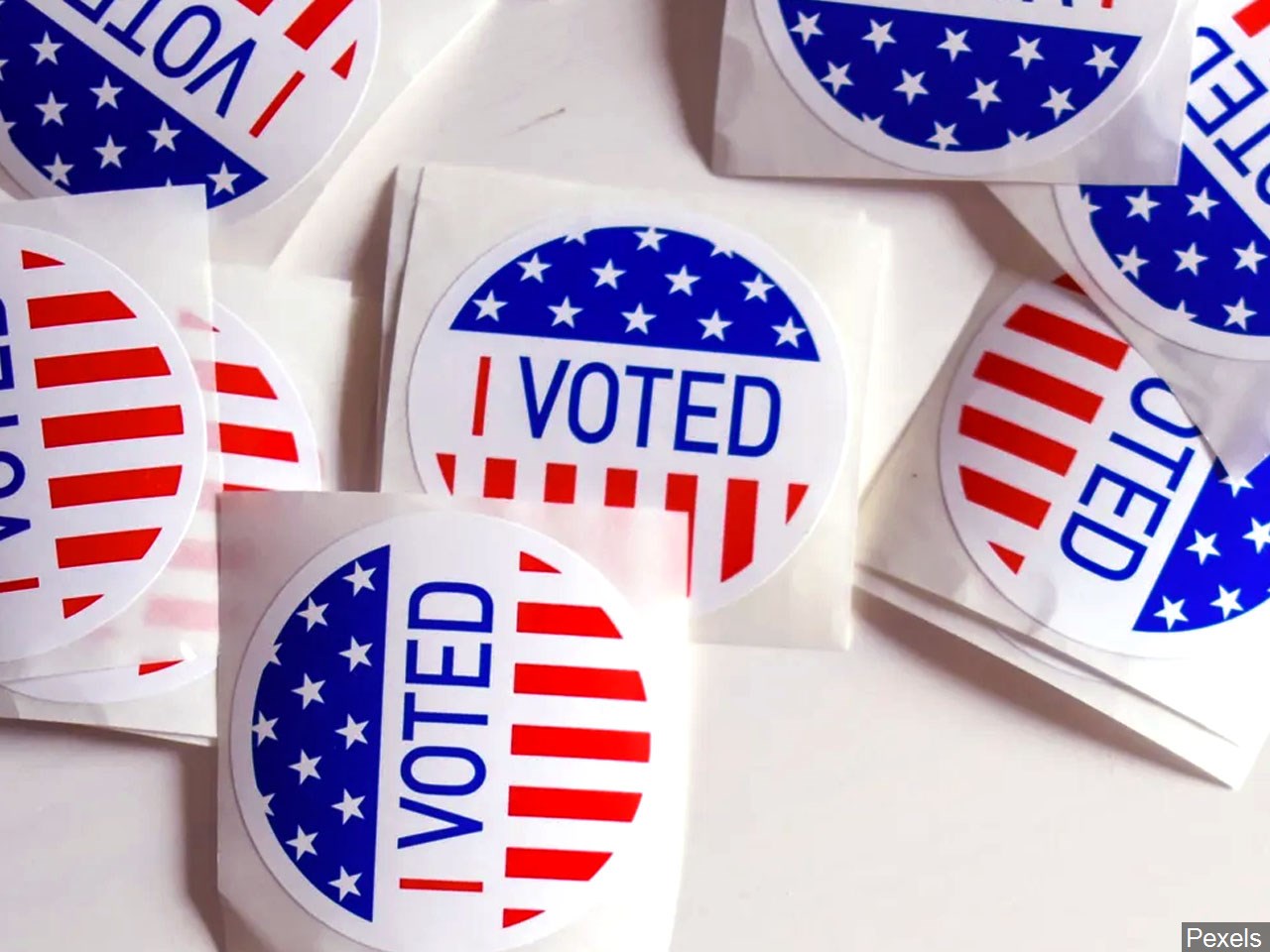 Should the general election be delayed due to coronvirus? 