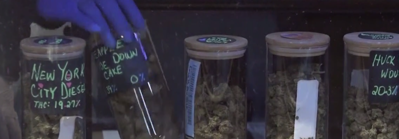 Should Deschutes CO. ban future marijuana growth/production?